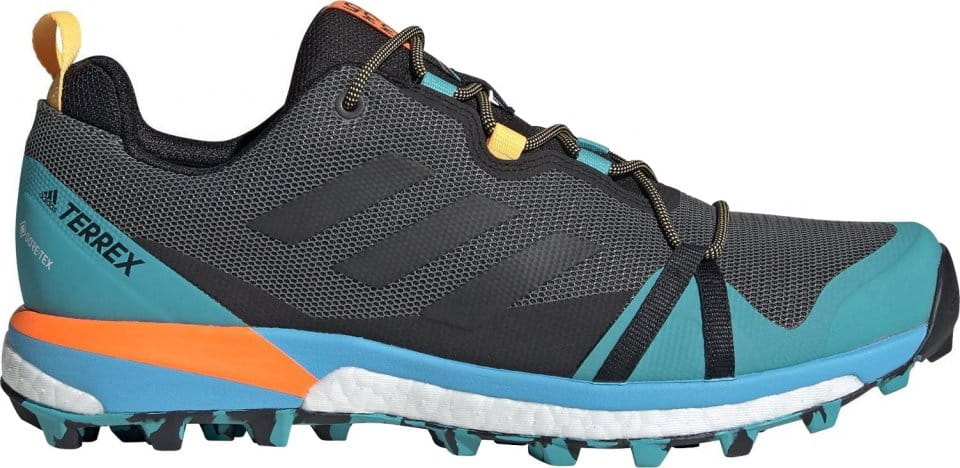 Skor adidas TERREX SKYCHASER LT GTX