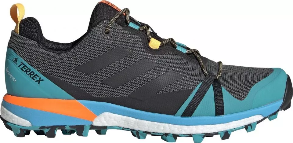 Skor adidas TERREX SKYCHASER LT GTX