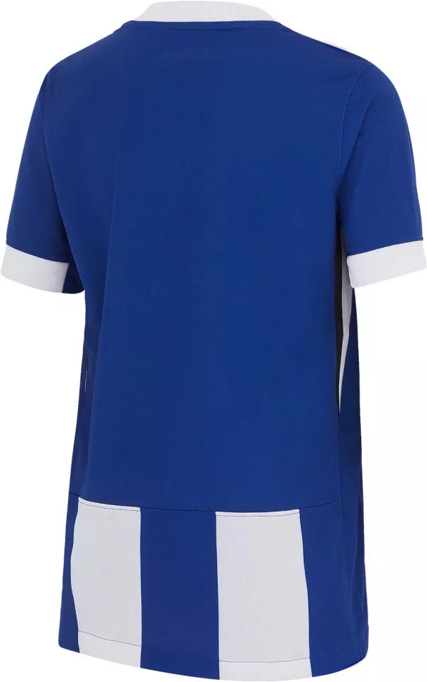 Camisa Nike HBSC Y NK DF STAD JSY SS HM 2024/25