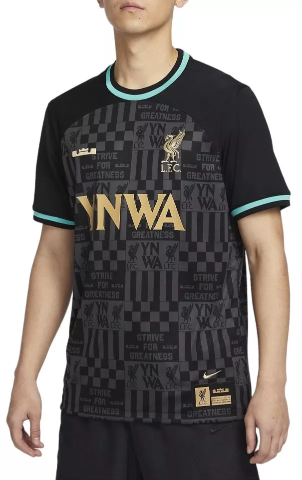 Риза Nike LFC M NK DF STAD JSY SS LBJ