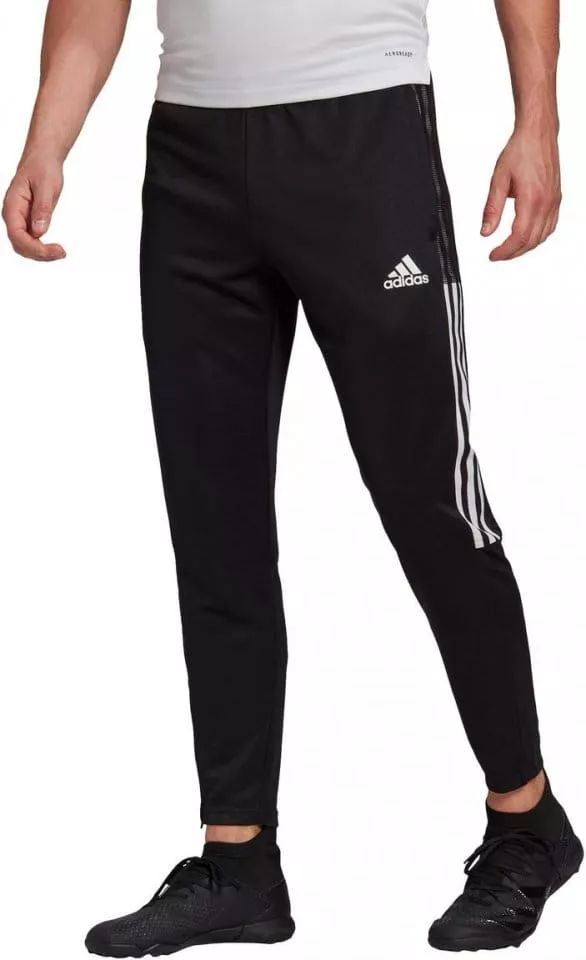 Spodnie adidas TIRO21 TR PNT
