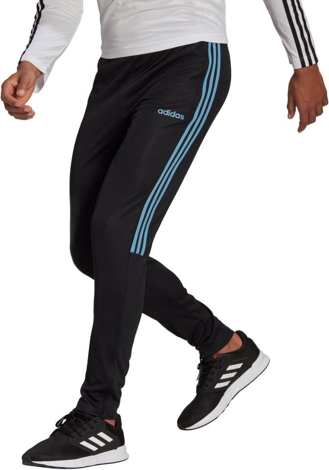 Pantalón adidas Sportswear Sereno19 training pant