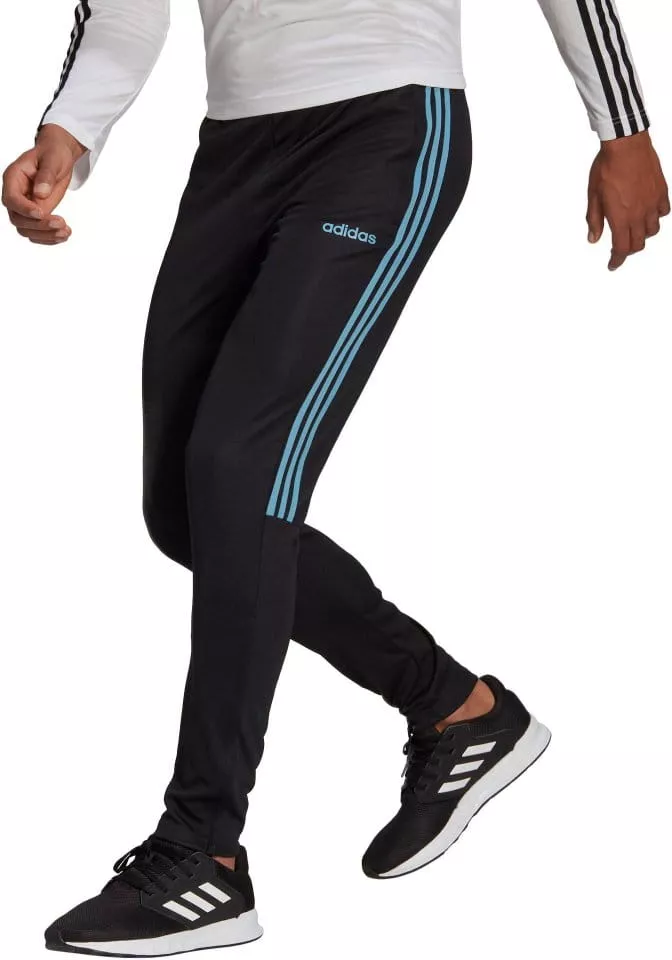 Pantalón adidas Sportswear Sereno19 training pant