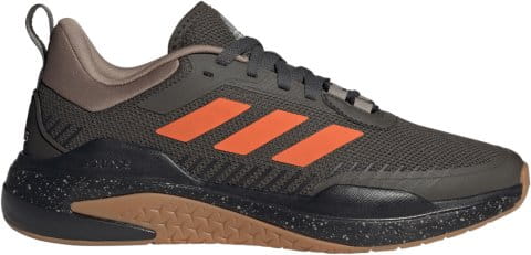 TRAINER V
