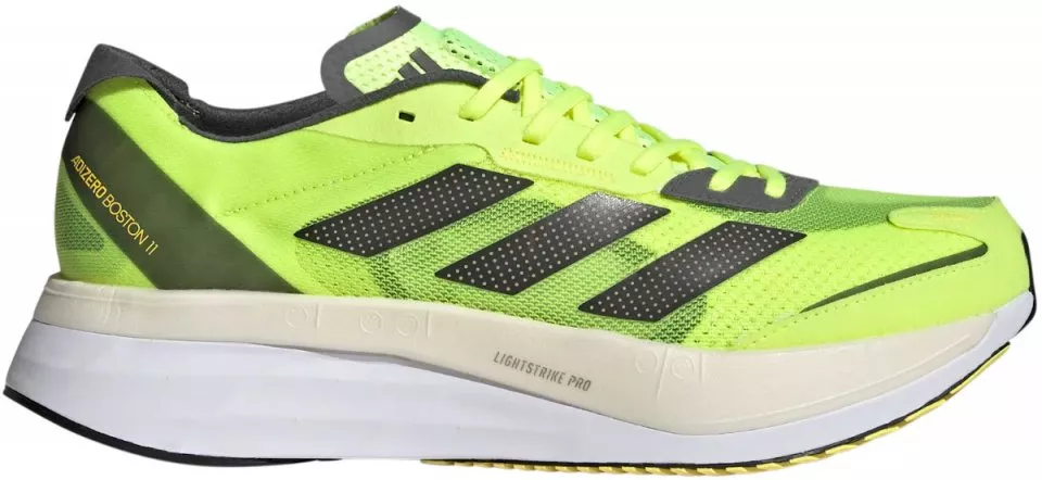 Buty do biegania adidas ADIZERO BOSTON 11 M