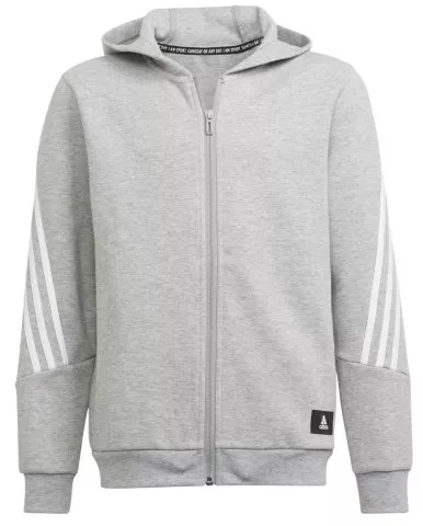 Sportswear Future Icons hooded kids
