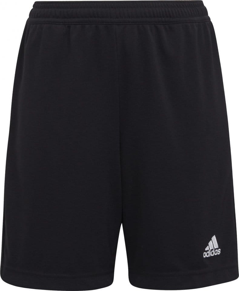 adidas ENT22 TR SHOY Rövidnadrág