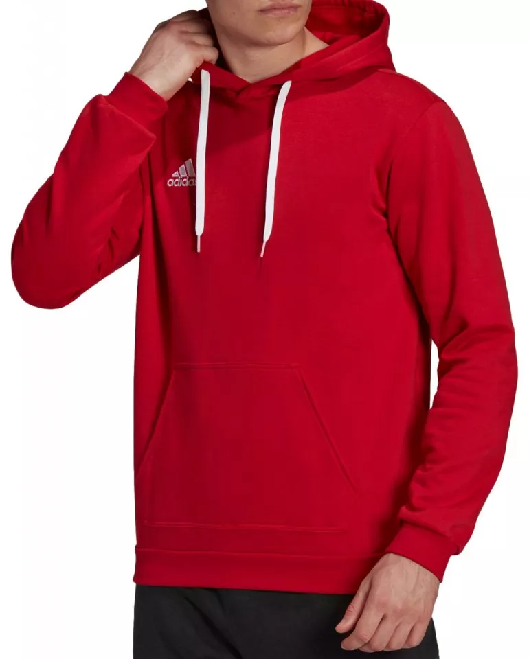 Hoodie adidas Entrada 22 Sweat