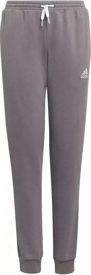 Pants adidas ENT22 SW PNTY