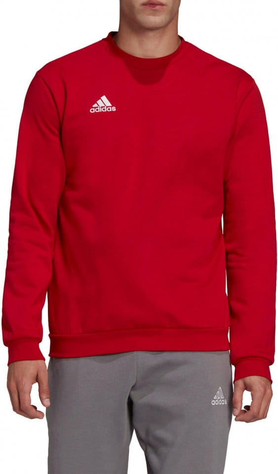 Sweatshirt adidas ENT22 SW TOP