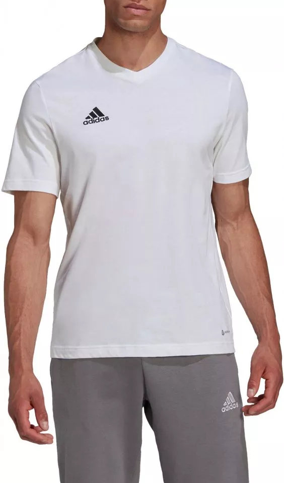 adidas ENT22 TEE Rövid ujjú póló