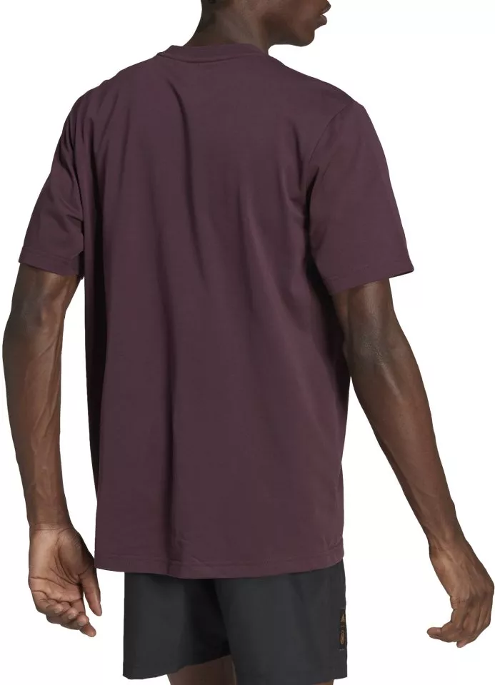 adidas DFB LS HC TEE Rövid ujjú póló