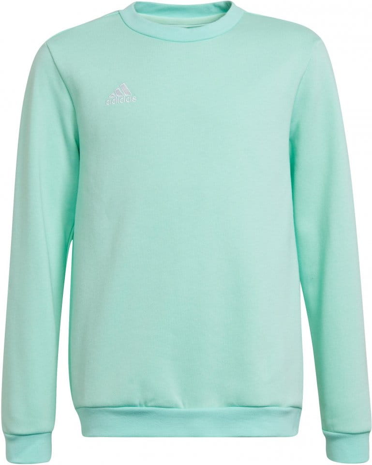 Hanorac adidas ENT22 SW TOPY