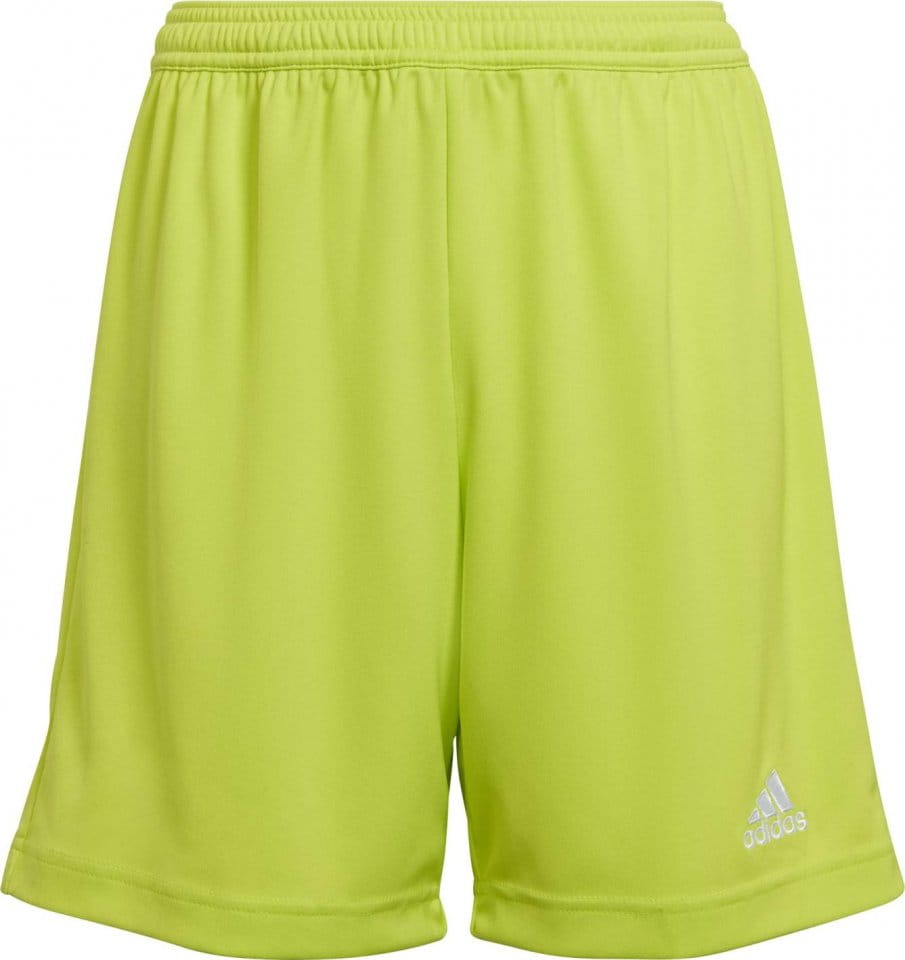 adidas ENT22 SHO Y Rövidnadrág