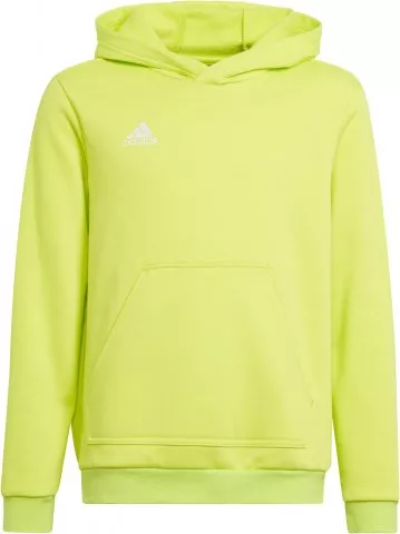 adidas terrex ent22 hoody y 426789 hc5069 480