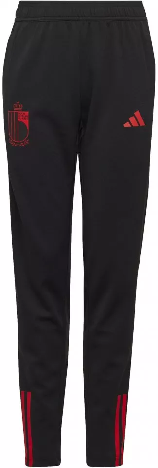 Nohavice adidas RBFA TR PNT Y