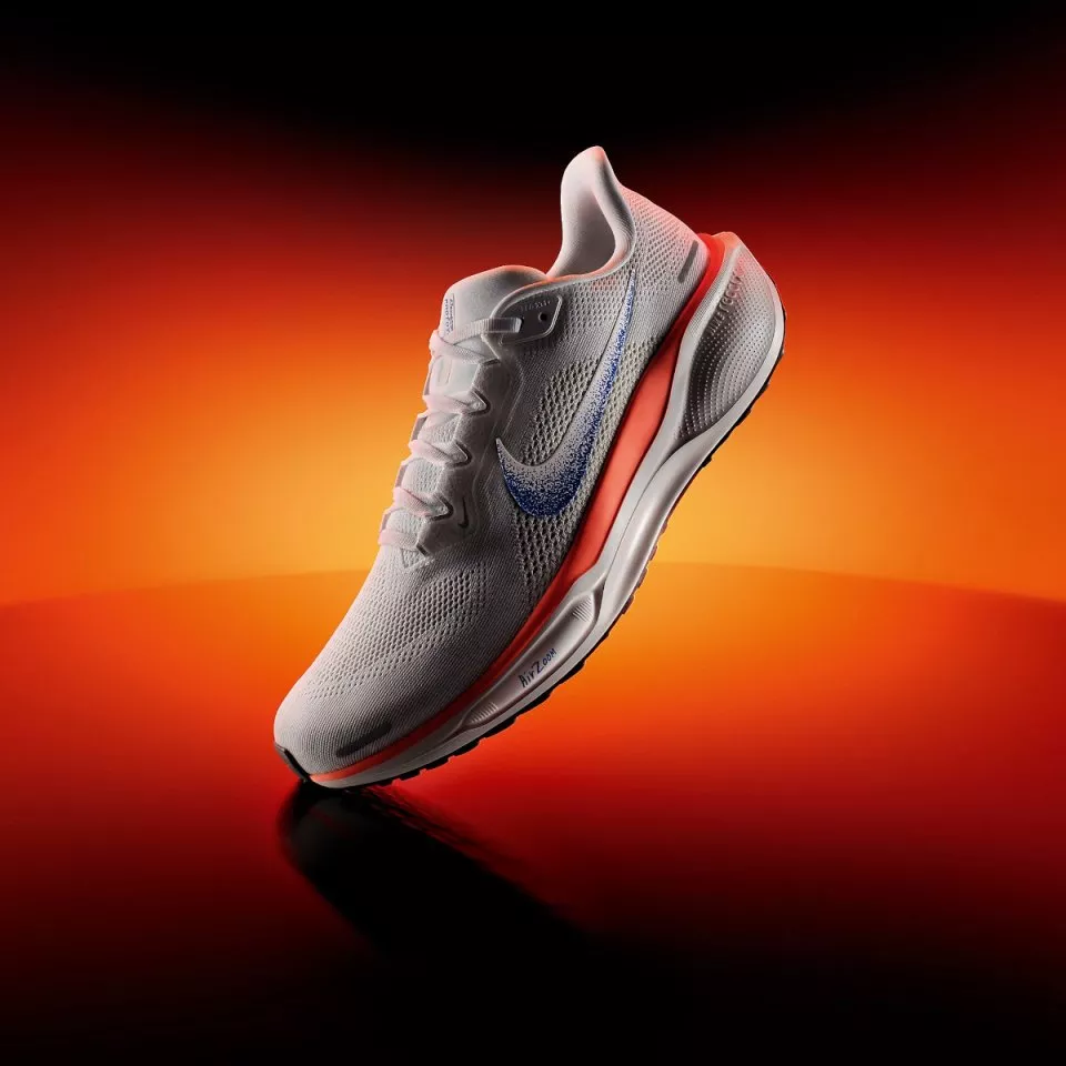 Pánské běžecké boty Nike Pegasus 41