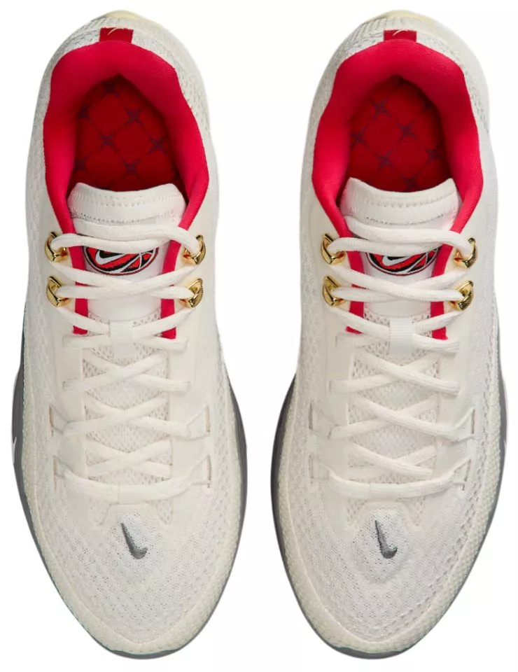 Basketbal schoenen Nike S.T Flare Shoe
