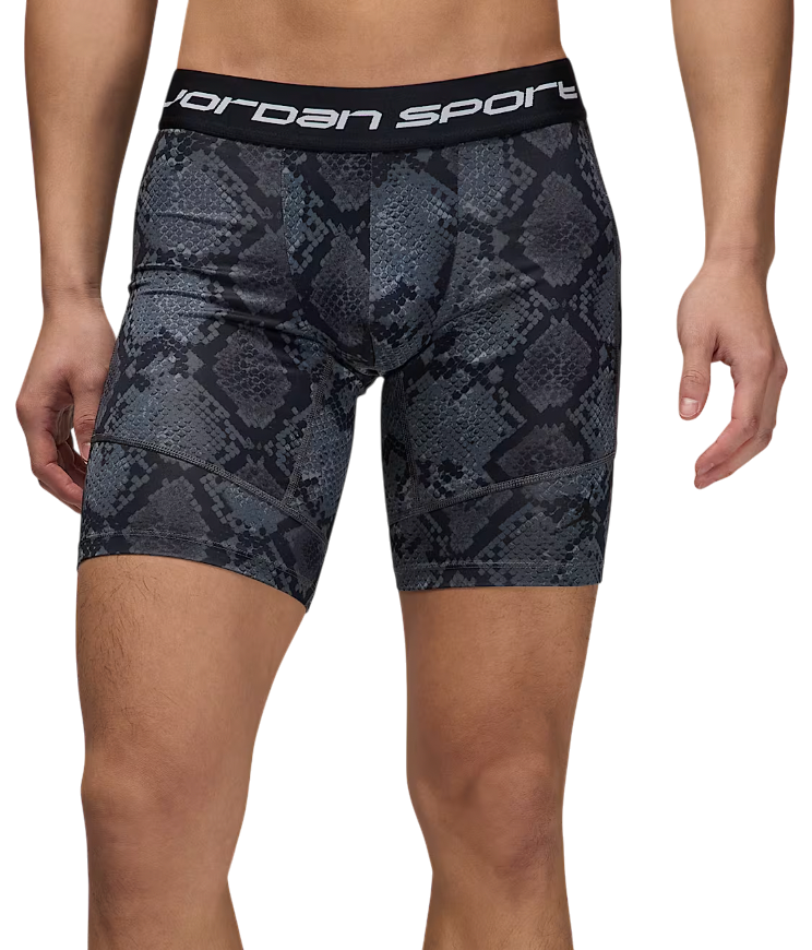 Pánské šortky Jordan Dri-FIT Sport