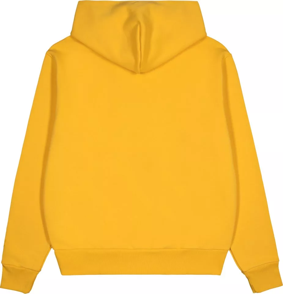 Sweatshirt com capuz adidas Originals PW hoody