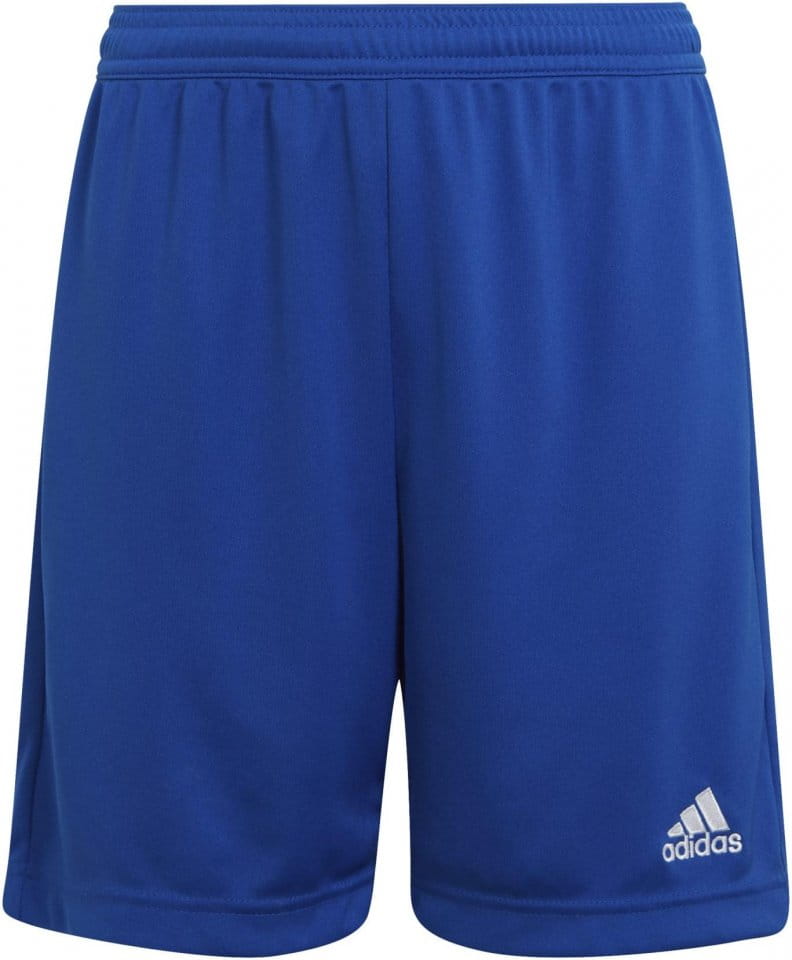 Szorty adidas ENT22 SHO Y