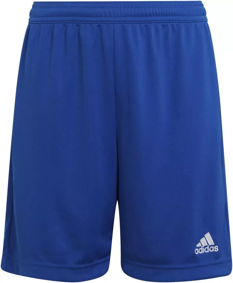 Szorty adidas ENT22 SHO Y