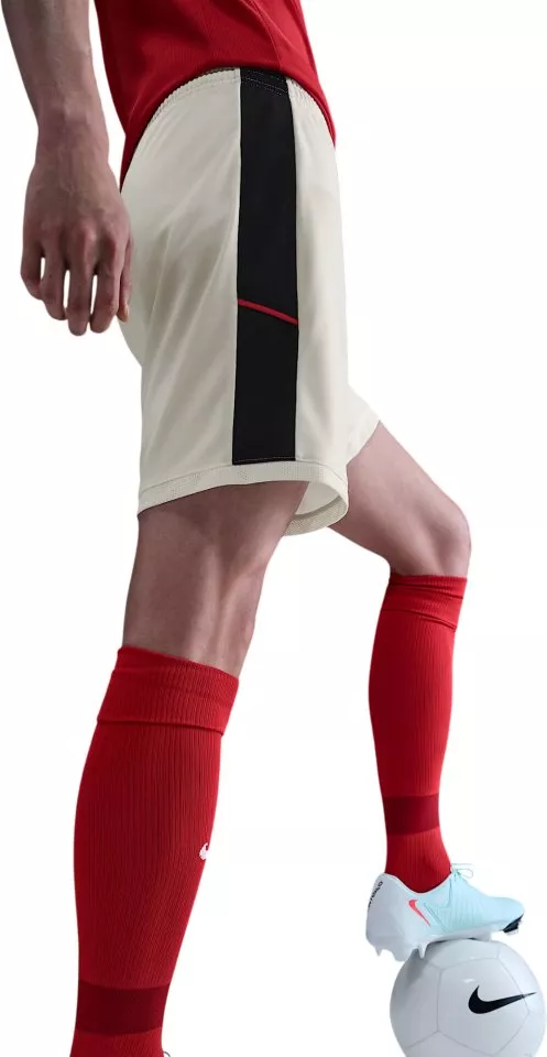 Shortsit Nike Dri-FIT Academy 25