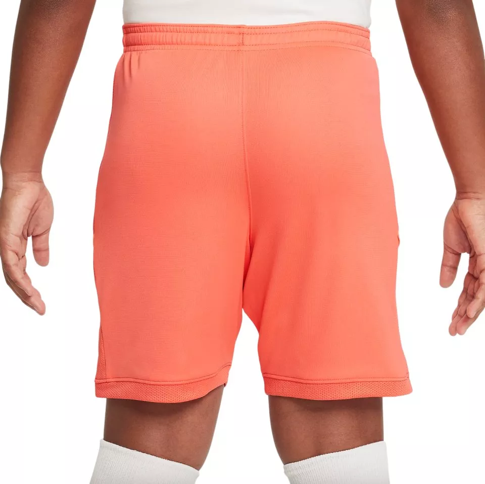 Sorturi Nike EH K NK DF ACD25 SHORT -PD