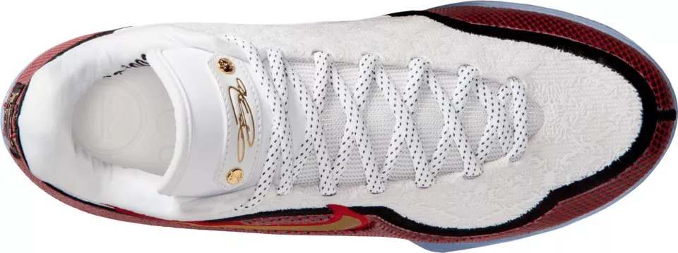 Buty do koszykówki Nike LeBron XXIII