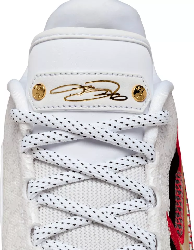 Buty do koszykówki Nike LeBron XXIII