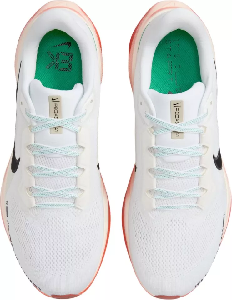 Pánské běžecké boty Nike Pegasus 41