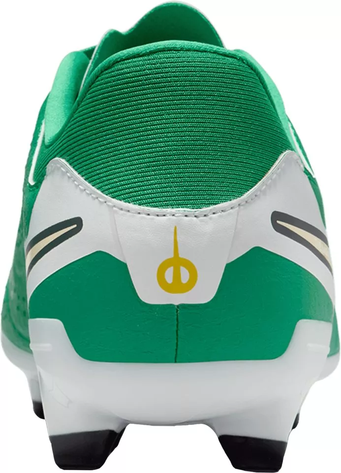 Chuteiras de futebol Nike LEGEND 10 ACADEMY FG LV8