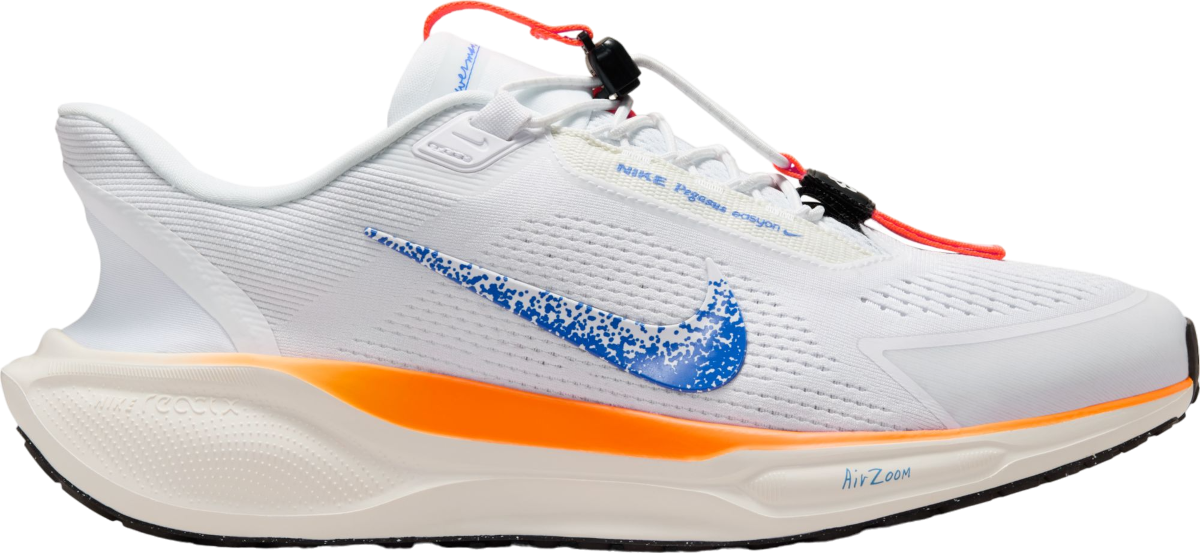 Laufschuhe Nike Pegasus EasyOn Blueprint