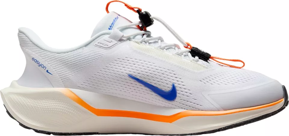 Chaussures de running Nike Pegasus EasyOn Blueprint