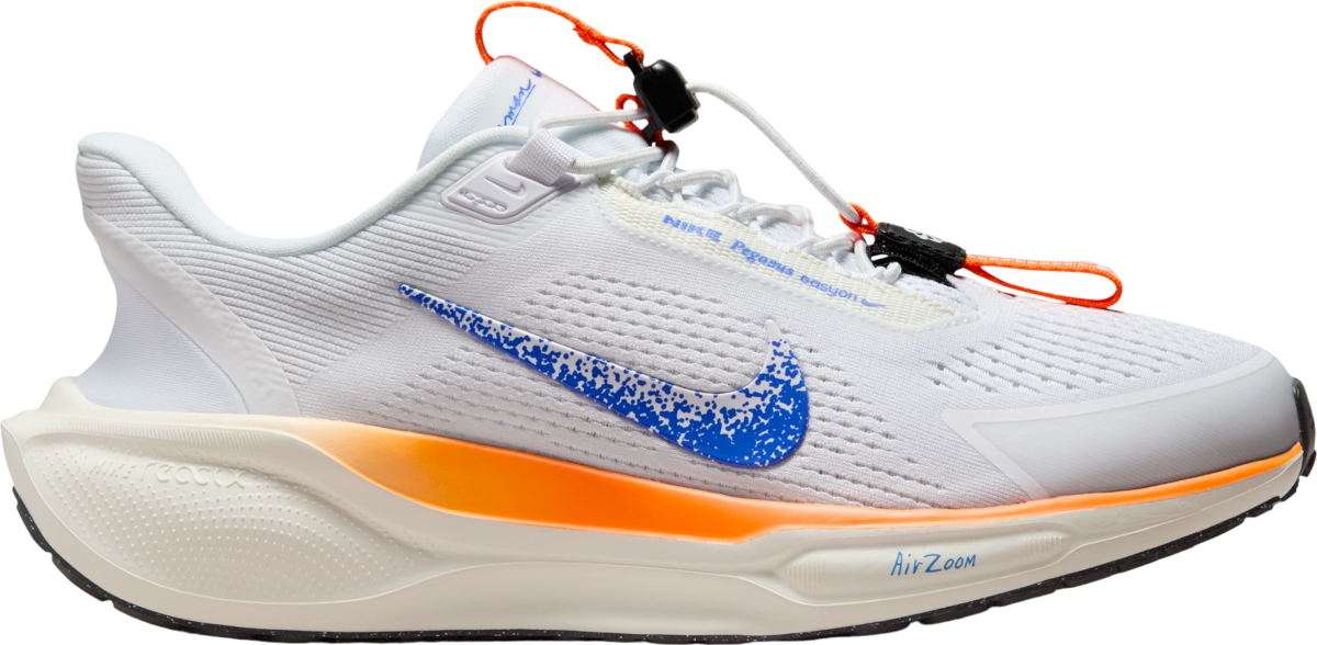 Laufschuhe Nike Pegasus EasyOn Blueprint