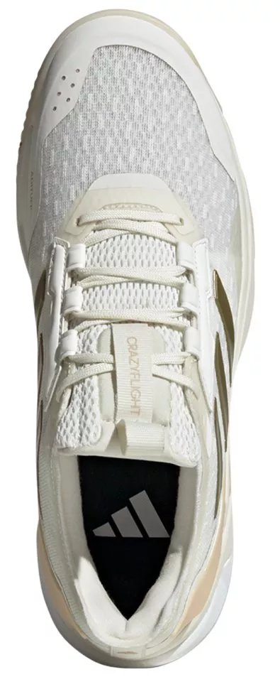 Παπούτσια εσωτερικού χώρου adidas Crazyflight 6 shoe Women
