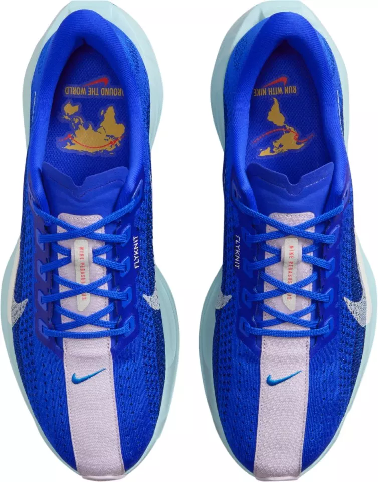Pánské běžecké boty Nike Pegasus Plus
