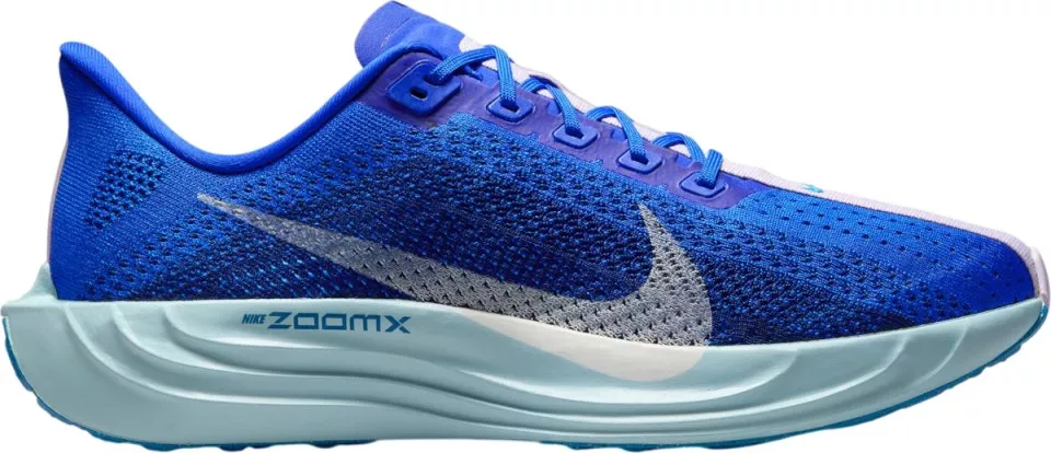 Pánské běžecké boty Nike Pegasus Plus