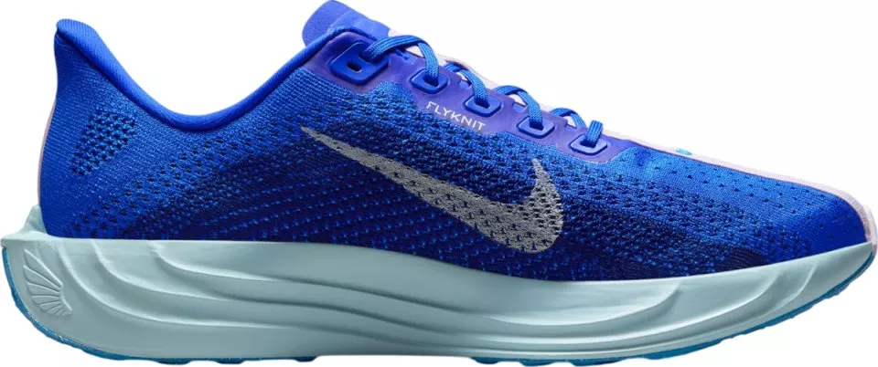 Pánské běžecké boty Nike Pegasus Plus