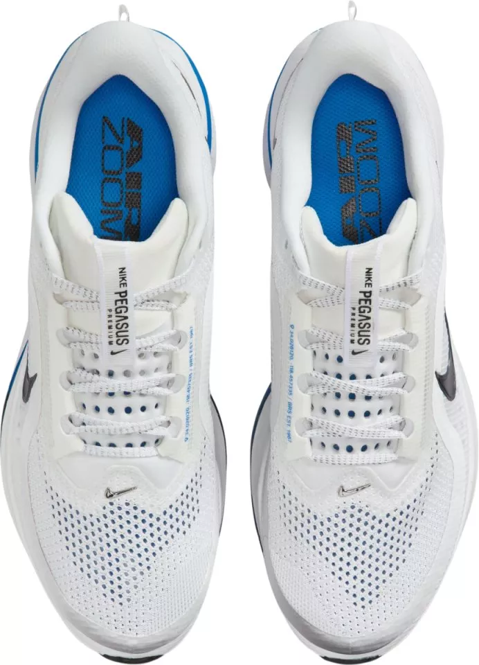 Running shoes Nike Pegasus Premium