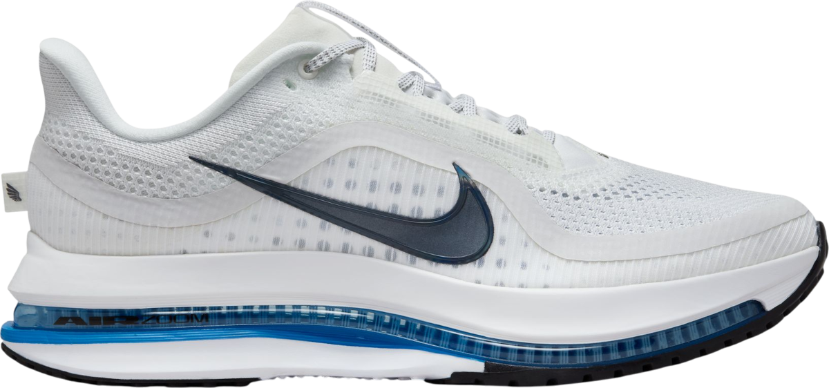 Running shoes Nike Pegasus Premium
