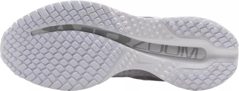 Buty do biegania Nike Pegasus Premium
