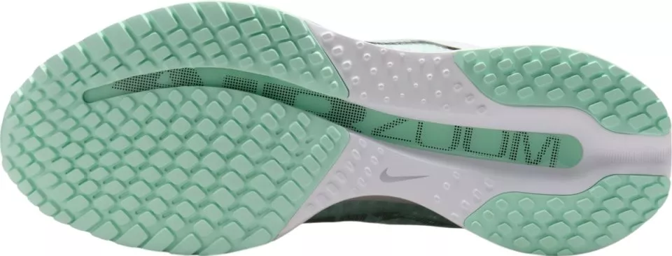 Laufschuhe Nike Pegasus Premium