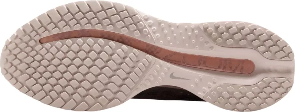 Scarpe da running Nike Pegasus Premium