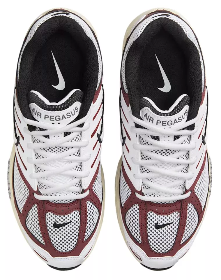Παπούτσια Nike Air Pegasus 2005 Sneaker Women
