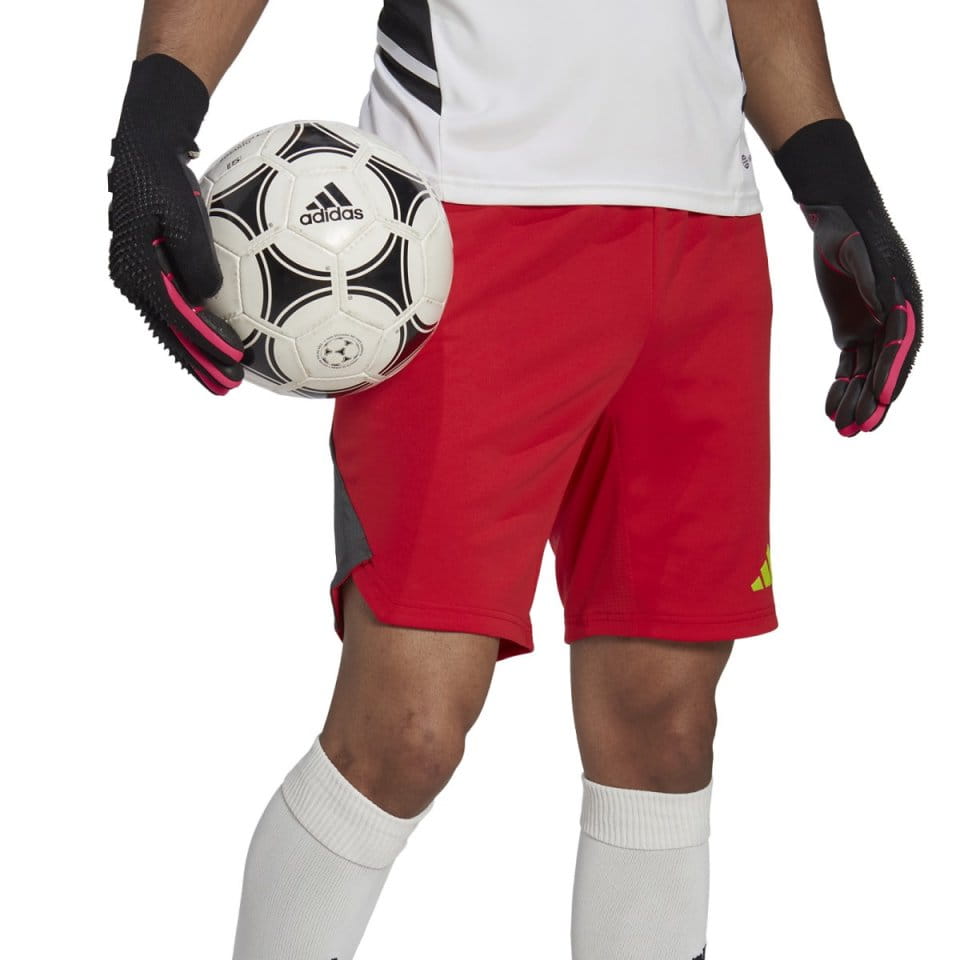 Kratke hlače adidas T23 P GK SHO
