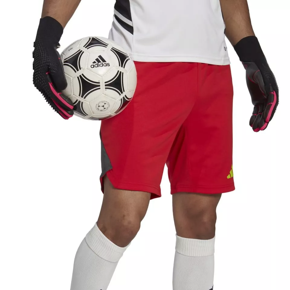 Kratke hlače adidas T23 P GK SHO
