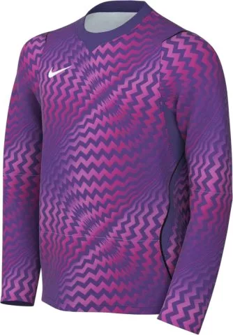 Dri-FIT Gardien VI Goalkeeper Long Sleeve Kids