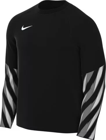 Dri-FIT Park V Long Sleeve Goalkeeper