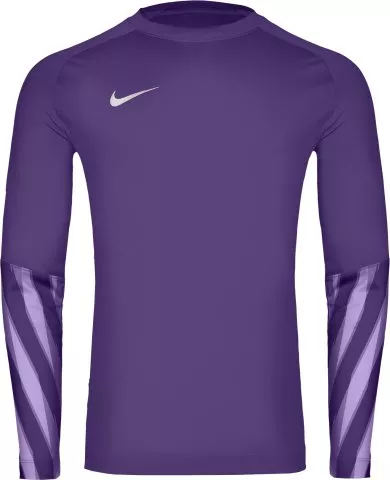 Dri-FIT Park V Long Sleeve Goalkeeper